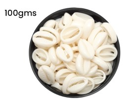 Cuentas plasticas buzio blanco